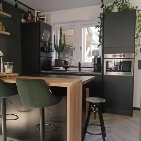 Comfortable, Cozy House 20 Min To Amsterdam Apartment Zaandam