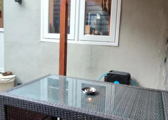 Comfortable, Cozy House 20 Min To Amsterdam Zaandam